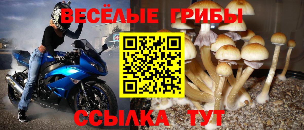 Петрозаводск  Галлюциногенные грибы Cubensis  где купить наркоту  Вход с VPN 